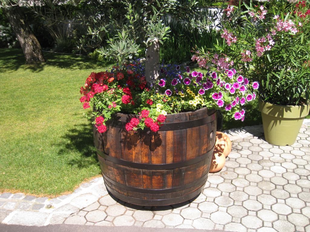 Pension Schmidt Podersdorf am See Εξωτερικό φωτογραφία
